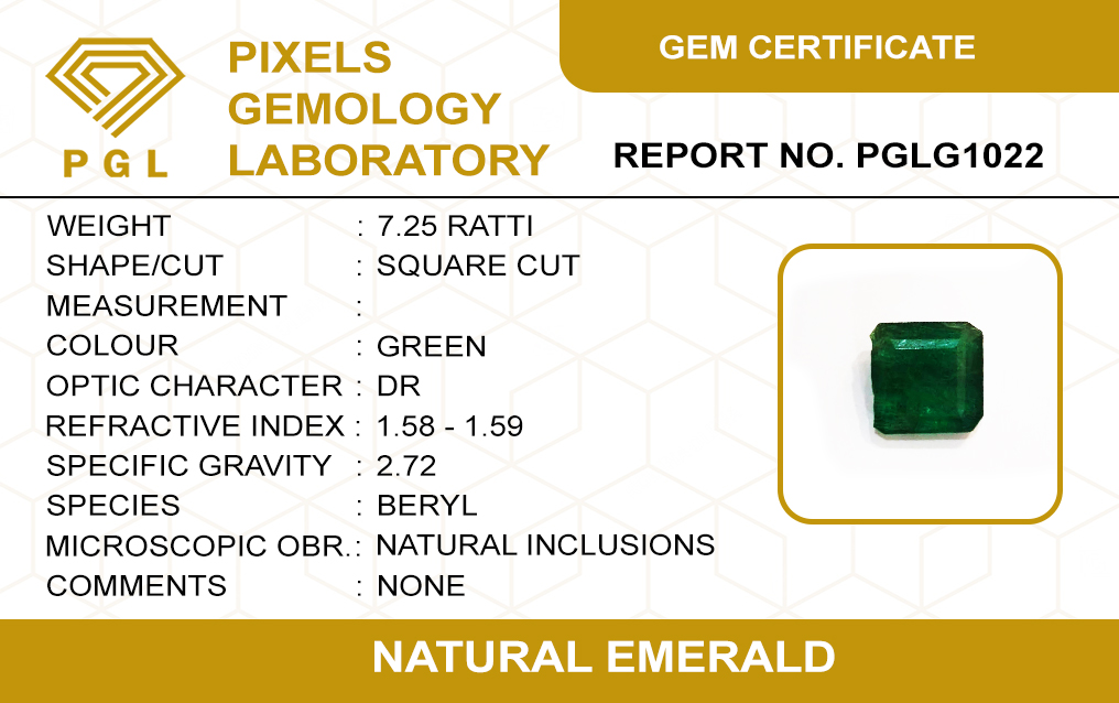 PGLG1022